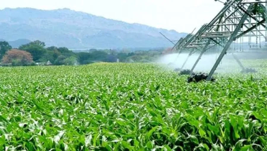 عجال: ربط 100 ألف مستثمرة فلاحية بالكهرباء قبل نهاية 2025