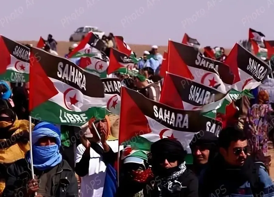 محامية إسبانية: 