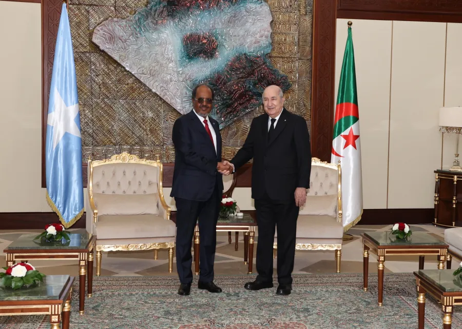 الرئيس تبون: توافق الرؤى بين الجزائر والصومال حيال العديد من الملفات